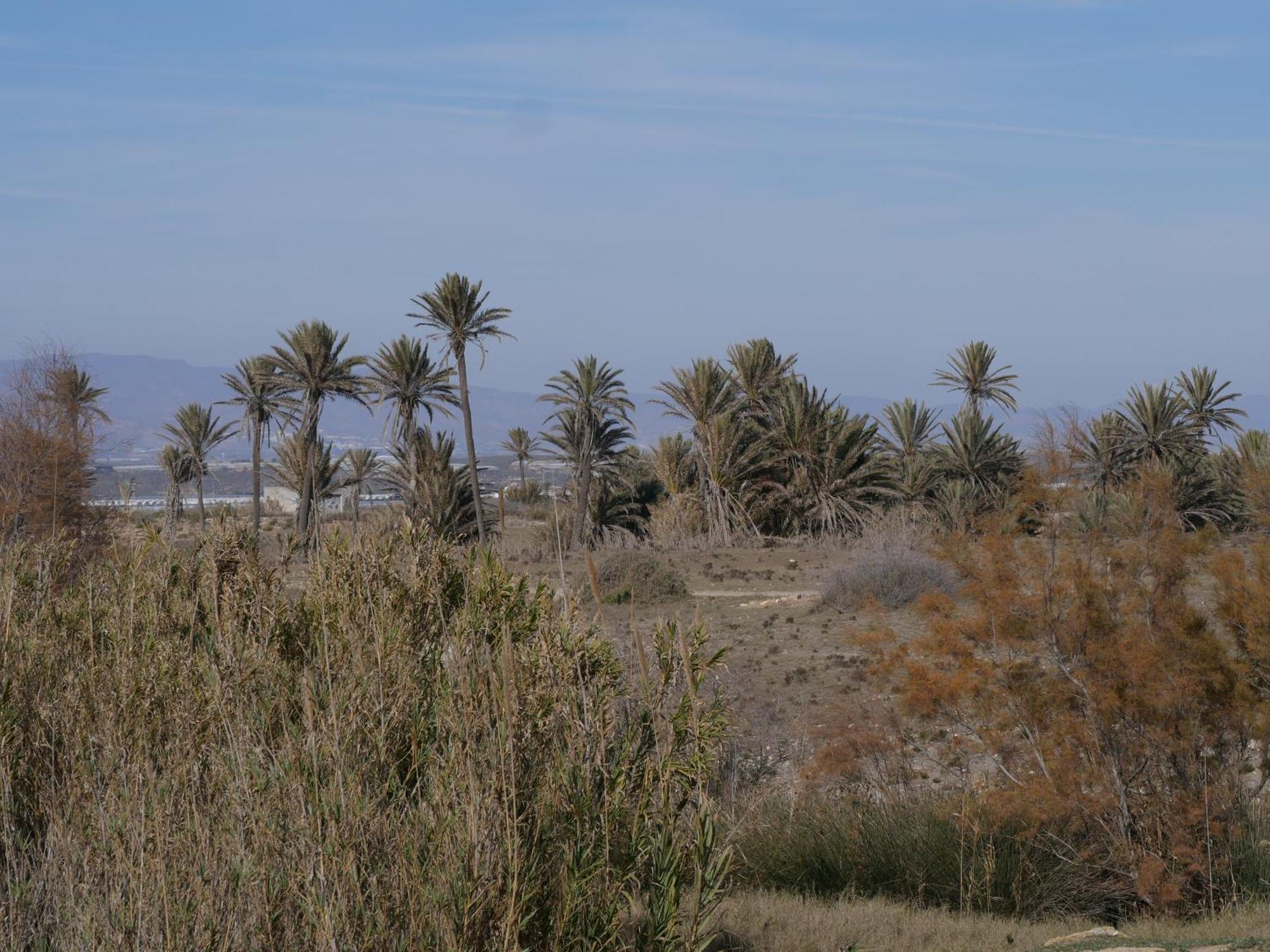 Precioso Apartamento En Cabo De Gata Ngoại thất bức ảnh